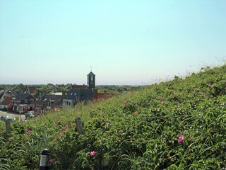Holiday house 't Zand Environment 31