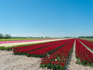 Vakantiehuis Groet Omgeving 26