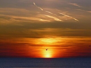 Casa per le vacanze Groet Ambiente 28