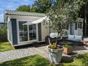 Vakantiechalet op het eiland Goedereede met tuin - Goedereede - image1