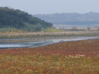 Chalet Goedereede Omgeving 20