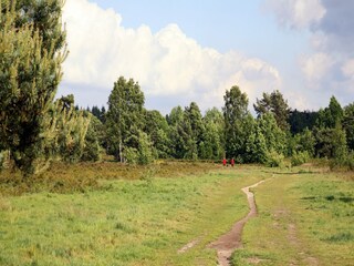 Ferienhaus Putten Umgebung 26