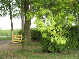Farmhouse Doorn  35