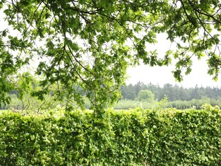 Type de propriété : Ferme Doorn  35
