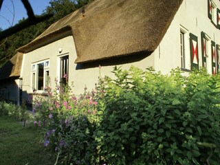 Farmhouse Doorn Outdoor Recording 7