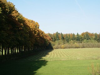 Boerderij Doorn Buitenaudio-opname 10
