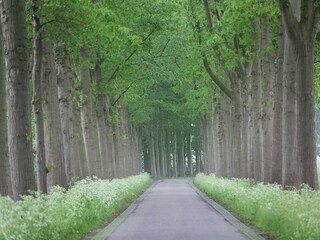 Farmhouse Doorn Environment 31