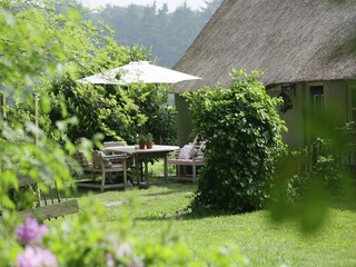 Farmhouse Doorn Outdoor Recording 6