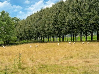 Landhaus culemborg Umgebung 36