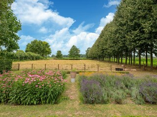 Vakantiehuisje culemborg Buitenaudio-opname 3