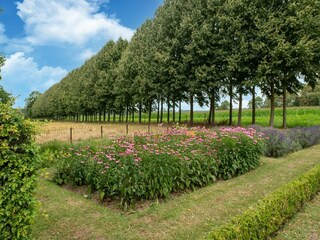 Casa de campo culemborg Entorno 33