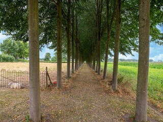 Casa de campo culemborg Entorno 35