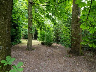 Vakantiehuisje Rossum Omgeving 36