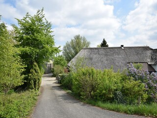 Type de propriété : Ferme Kedichem Enregistrement extérieur 5