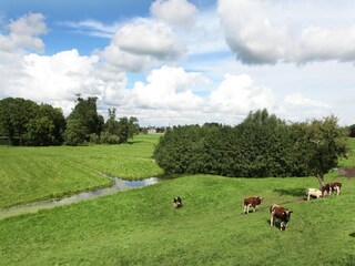 Type de propriété : Ferme Kedichem Environnement 34