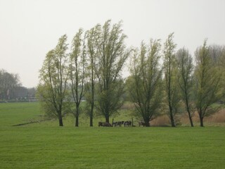 Type de propriété : Ferme Kedichem Environnement 37
