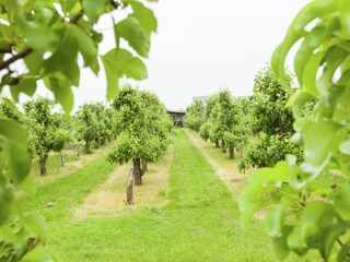 Vakantiehuis Wemeldinge Buitenaudio-opname 4