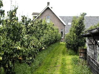 Ferienhaus Wemeldinge Umgebung 19