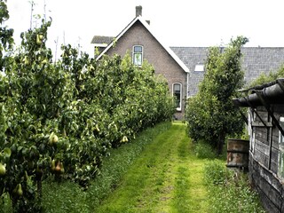 Maison de vacances Wemeldinge Environnement 19