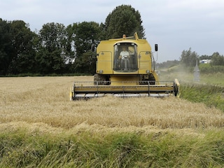 Ferienhaus Wemeldinge Umgebung 20