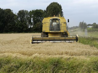 Vakantiehuis Wemeldinge Omgeving 21