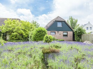 Ferienhaus Wolphaartsdijk Außenaufnahme 5