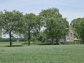 Type de propriété : Ferme Zuidzande Enregistrement extérieur 8
