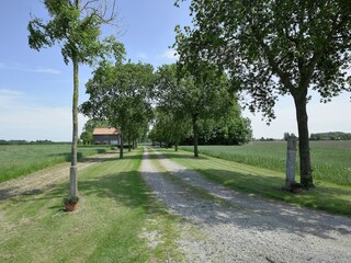 Boerderij Zuidzande Buitenaudio-opname 10