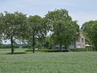 Boerderij Zuidzande Buitenaudio-opname 11