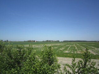 Boerderij Zuidzande Buitenaudio-opname 12