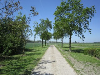 Boerderij Zuidzande Omgeving 32