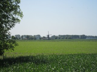 Boerderij Zuidzande Omgeving 33