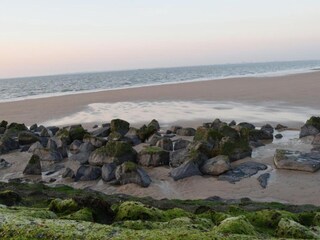 Farmhouse Zuidzande Environment 38