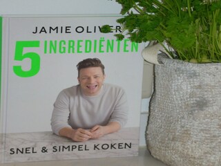 Ferienhaus Zuidzande  34