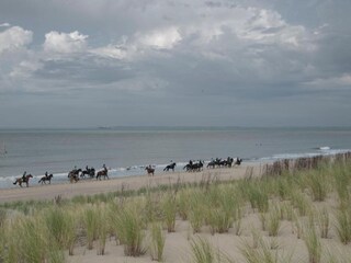 Vakantiehuis Zuidzande Omgeving 31