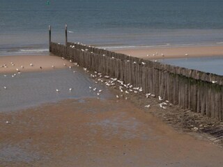 Vakantiehuis Zuidzande Omgeving 32