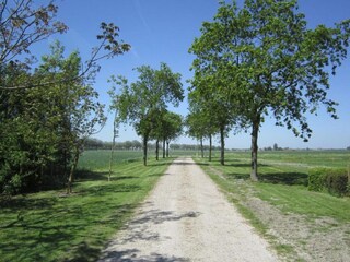 Maison de vacances Zuidzande Environnement 25