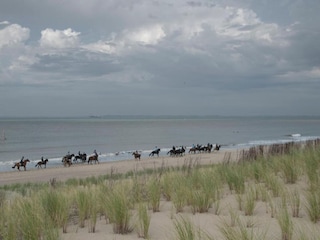 Ferienhaus Zuidzande Umgebung 31