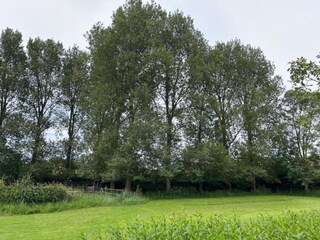 Boerderij Zuidzande Omgeving 30