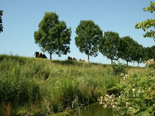 Maison de vacances Schoondijke Enregistrement extérieur 14