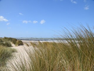 Ferienhaus Schoondijke Umgebung 35