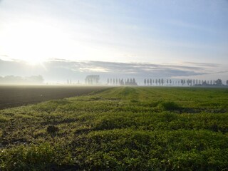 Casa per le vacanze Schoondijke Registrazione all'aperto 2