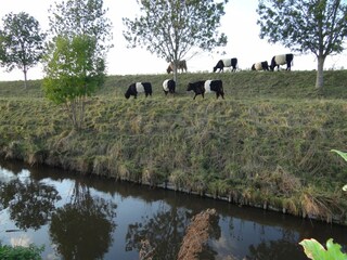 Holiday house Schoondijke Outdoor Recording 13