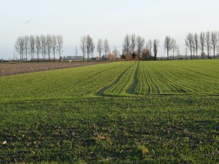 Vakantiehuis Schoondijke Buitenaudio-opname 12