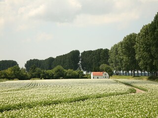 Vakantiehuis Schoondijke Omgeving 31