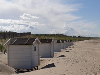 Maison de vacances Schoondijke Environnement 37