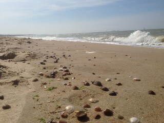 Holiday house Schoondijke Environment 35