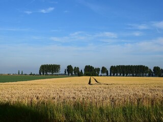 Holiday house Schoondijke Outdoor Recording 15