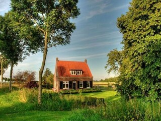 Type de propriété : Ferme Schoondijke Enregistrement extérieur 8