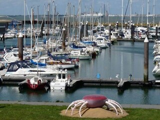 Fattoria Schoondijke Ambiente 28